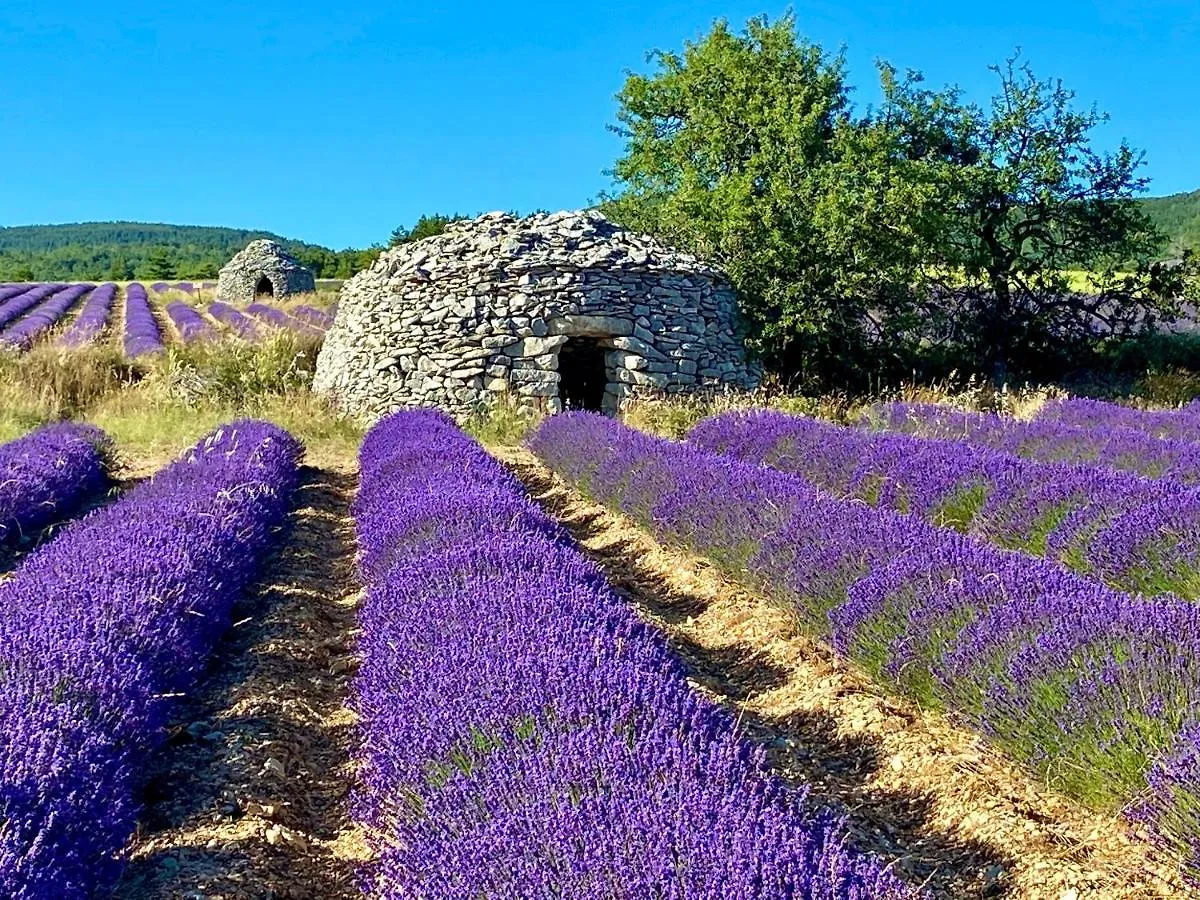 Bed and Breakfast Le Mas Jorel Gargas  0*, Gargas (Vaucluse) Frankreich